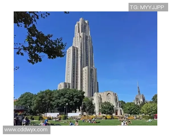 北京排球队耐力对比独家解析揭示运动员训练与比赛表现的关系