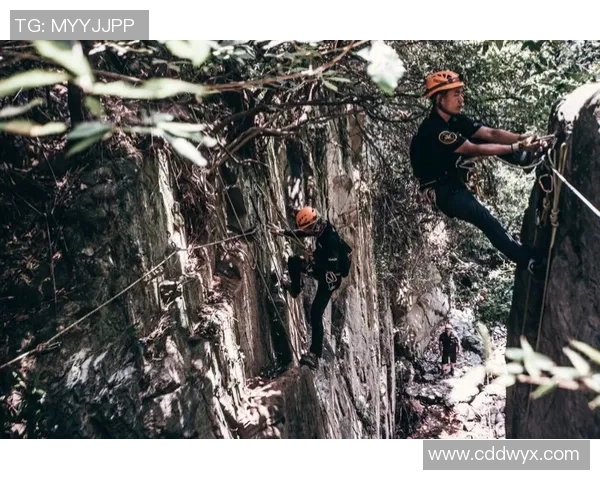 广州攀岩队整体压制革新探索与实践的深度剖析与启示