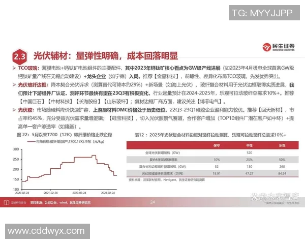 成都羽毛球队防守策略分析与比赛表现评估