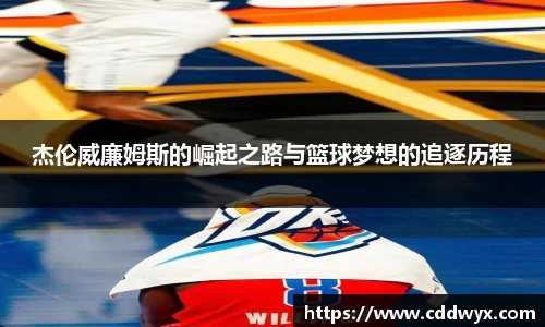 中欧体育官网