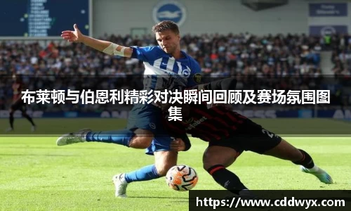 中欧体育官方网站